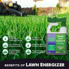 Picture of Commercial Grade Lawn Energizer- Grass Micronutrient Booster with Iron & Nitrogen- Liquid Turf Spray Concentrated Fertilizer- Any Grass Type, All Year- Simple Lawn Solutions- 32 Ounce