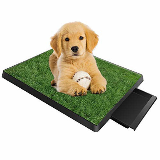 Indoor grass pad for dogs hotsell