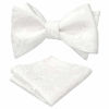 Picture of Alizeal Mens Paisley Jacquard Self Bow Tie Pocket Square Set (White)