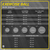 Picture of URBNFIT Exercise Ball - Yoga Ball in Multiple Sizes for Workout, Pregnancy, Stability - Anti-Burst Swiss Balance Ball w/ Quick Pump - Fitness Ball Chair for Office, Home, Gym