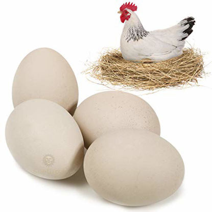 Picture of SunGrow Wooden Chicken Egg Pack, 2.75 Inches, Real Color, 4 Pcs per Pack