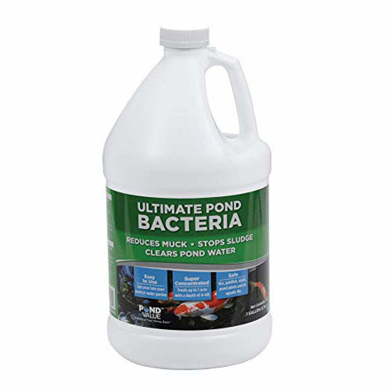 Picture of PondValue Ultimate Pond Bacteria