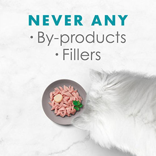 GetUSCart Purina Fancy Feast Wet Cat Food Complement, Appetizers Light