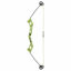 Picture of Bear Archery Valiant Bow Set