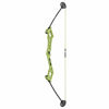 Picture of Bear Archery Valiant Bow Set