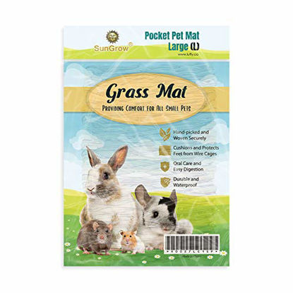 Picture of SunGrow Rabbit Seagrass Mat, 11 x 7.8, Handmade Hay Mat, 1-Pack