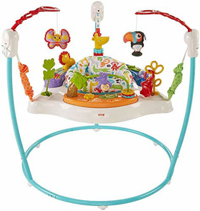 Picture of Fisher-Price Animal Activity Jumperoo, Blue, One Size