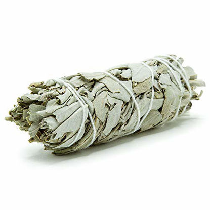 Picture of GloFX White Sage Bundle - 1 Pack - 4 Inches Wild Harvested California Smudge Stick Wand for Spiritual Incense Burning Aromatherapy Energy Cleansing Healing and Meditation