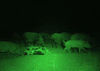 Picture of Ulako Single 1 Mode Zoomable LED 150 Yard Green Light Flashlight Torch for Fishing Hunting Detector