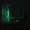 Picture of Ulako Single 1 Mode Zoomable LED 150 Yard Green Light Flashlight Torch for Fishing Hunting Detector