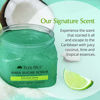 Picture of Tree Hut Shea Sugar Scrub, Coconut Lime, 18 Ounce (Pack of 3)