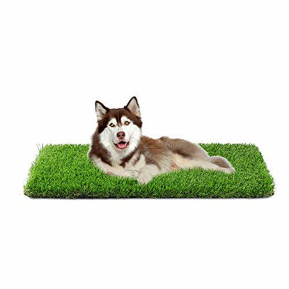 Picture of Artificial Grass, Professional Dog Grass Mat, Grass Pee Pad for Pet, Dog Potty Training Rug with Drainage Holes - Easy to Clean, Fake Turf for Indoor & Outdoor Patio Decor