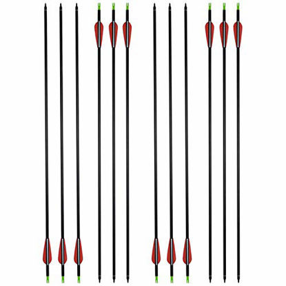 Picture of HANDBAIGE 12 Pack Mix Carbon Archery 30/31 Inch Hunting Arrows 100 Grain Points for Targeting Compound/Recurve/Long Bow (red)
