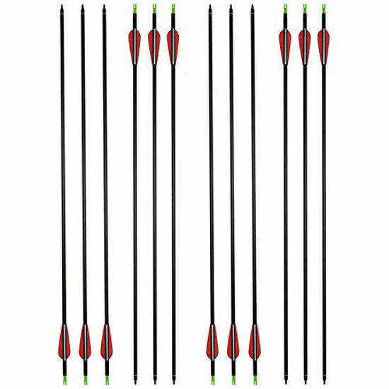 Picture of HANDBAIGE 12 Pack Mix Carbon Archery 30/31 Inch Hunting Arrows 100 Grain Points for Targeting Compound/Recurve/Long Bow (red)