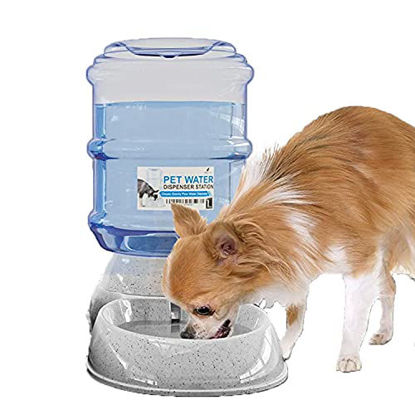 Picture of NOA Automatic Pet Water Dispenser | 1 Gallon Cat and Dog Gravity Feeder, Waterer Dispenser Station, H20, BPA-Free, Small and Big Pets Water Station, Pet Water Bowl, Cat and Dog Water Bowl