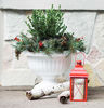 Picture of Bloem Urn Plntr Grecn Chcl12