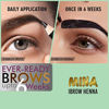 Picture of MINA ibrow Henna Dark Brown Regular Pack & Coloring Kit