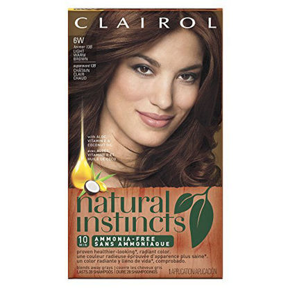 Picture of Clairol Natural Instincts Hair Color 13b, Spiced Cider, Light Warm Brown 1 Kit