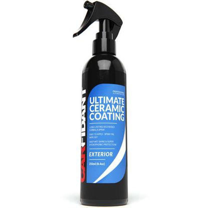  Carfidant Scratch and Swirl Remover - Ultimate Car