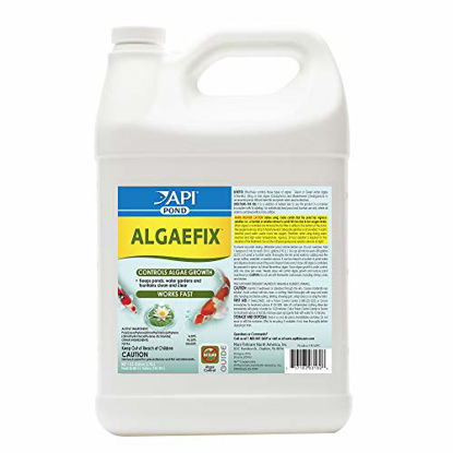 Picture of API POND ALGAEFIX Algae Control 1-Gallon Bottle
