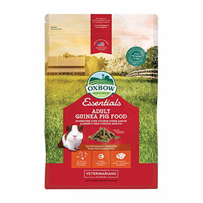 Picture of Oxbow Essentials Adult Guinea Pig Food - All Natural Adult Guinea Pig Pellets - 5 lb.