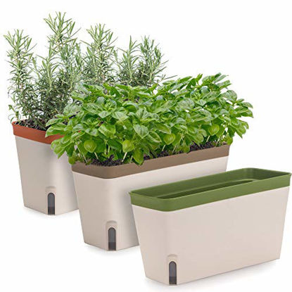 Picture of Amazing Creation Windowsill Herb Planter Box, Rectangular Self Watering Indoor Garden for Kitchens, Grow Plants, Flowers or Succulents, Large Water Reservoir, (3 Pack)