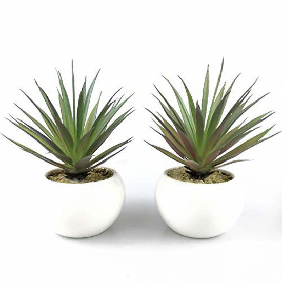 Picture of TUOKORGREEN Small Artificial Plants in Ceramic Pots, Faux Greenery 2 pcs Set 3.5" x 6.7"D x H