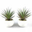 Picture of TUOKORGREEN Small Artificial Plants in Ceramic Pots, Faux Greenery 2 pcs Set 3.5" x 6.7"D x H