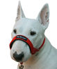 Picture of Dog Head Collar Halter Red 6 Sizes (L: 10.25"-12.25" Snout)