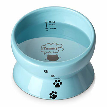 Picture of Y YHY Elevated Cat Food Bowl  Raised Pet Food and Water Bowl  Cat and Small Dog Bowl  Tilted Ceramic Cat Water Bowl No Spill 15oz  Dishwasher Safe