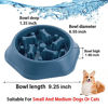 Picture of Dog Bowl Slow Feeder Dog Bowls Stop Bloat Peanut Butter Lick Pad Anti Gulping Healthy Eating Non Slip Dog Slow Feeding Pet Bowl Slow Eating for Small Medium Size Dogs