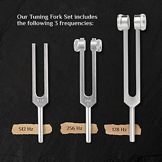 Human organ tuning fork （臓器の音叉）15本セット