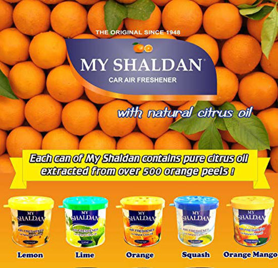 Picture of New Era Aquaculture My Shaldan 88552 Squash Air Freshener