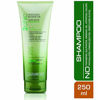 Picture of GIOVANNI Cosmetics 2chic Shampoo Avcdo & OLV, 8.5 Fl Oz (Pack of 1), Ultra-Moist (Avocado + Olive Oil), 8