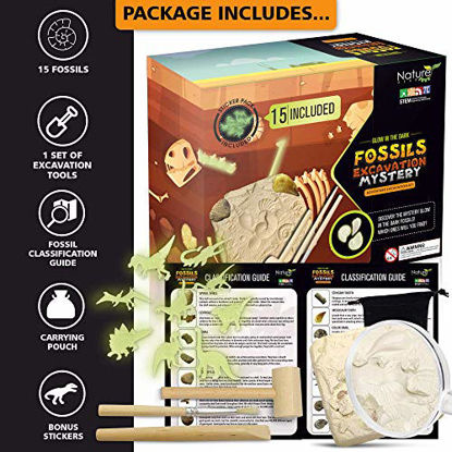 Picture of Nature Gear 15 Mystery Fossils + Bonus Glow-in-The-Dark - Excavation Adventure Kit - Science STEM Learning Kids Activity