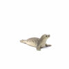 Picture of SCHLEICH Wild Life, Animal Figurine, Animal Toys for Boys and Girls 3-8 Years Old, Seal