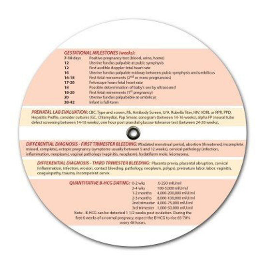 GetUSCart- Pregnancy Wheel