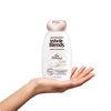 Picture of Garnier Whole Blends Gentle Shampoo Oat Delicacy, For Sensitive Scalp, 12.5 fl. oz.