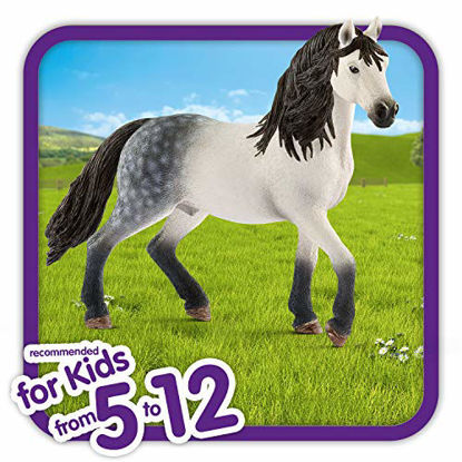 Picture of SCHLEICH Horse Club, Animal Figurine, Horse Toys for Girls and Boys 5-12 Years Old, Andalusian Stallion