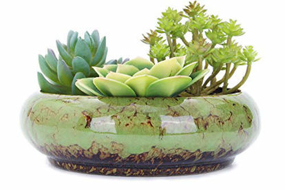 Picture of VanEnjoy 7.3 inch Round Large Shallow Succulent Ceramic Glazed Planter Pots with Drainage Hole, Bonsai Pots Garden Decorative Cactus Stand Flower Container (Green)