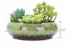 Picture of VanEnjoy 7.3 inch Round Large Shallow Succulent Ceramic Glazed Planter Pots with Drainage Hole, Bonsai Pots Garden Decorative Cactus Stand Flower Container (Green)
