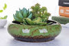 Picture of VanEnjoy 7.3 inch Round Large Shallow Succulent Ceramic Glazed Planter Pots with Drainage Hole, Bonsai Pots Garden Decorative Cactus Stand Flower Container (Green)
