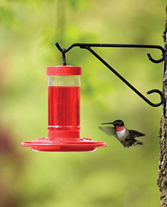 Picture of First Nature 993051-546 16 oz. Hummingbird Feeder, Red