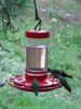 Picture of First Nature 993051-546 16 oz. Hummingbird Feeder, Red
