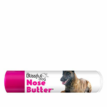 Picture of The Blissful Dog Belgian Malinois Unscented Nose Butter - Dog Nose Butter, 0.15 Ounce