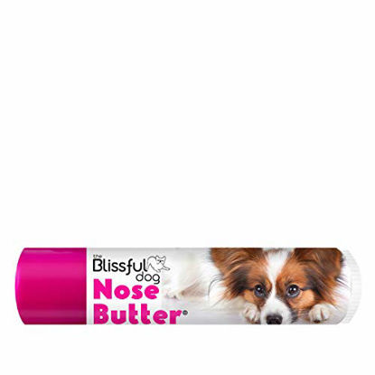 Picture of The Blissful Dog Papillon Unscented Nose Butter - Dog Nose Butter, 0.15 Ounce