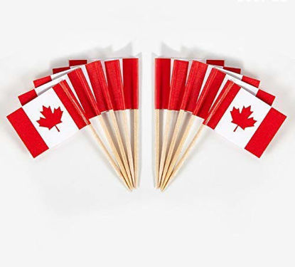 Picture of JAVD CYPS 100 Pcs Canada Flag Canadian Toothpick Flags, Small Mini Stick Cupcake Toppers Canadian Flags,Country Picks Party Decoration Celebration Cocktail Food Bar Cake Flags