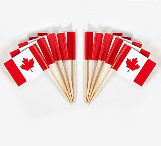Picture of JAVD CYPS 100 Pcs Canada Flag Canadian Toothpick Flags, Small Mini Stick Cupcake Toppers Canadian Flags,Country Picks Party Decoration Celebration Cocktail Food Bar Cake Flags