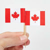Picture of JAVD CYPS 100 Pcs Canada Flag Canadian Toothpick Flags, Small Mini Stick Cupcake Toppers Canadian Flags,Country Picks Party Decoration Celebration Cocktail Food Bar Cake Flags