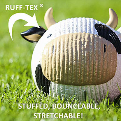 Picture of HuggleHounds Ruff-Tex Squeaky Tough Dog Chew Toy All Natural, Pig, Small